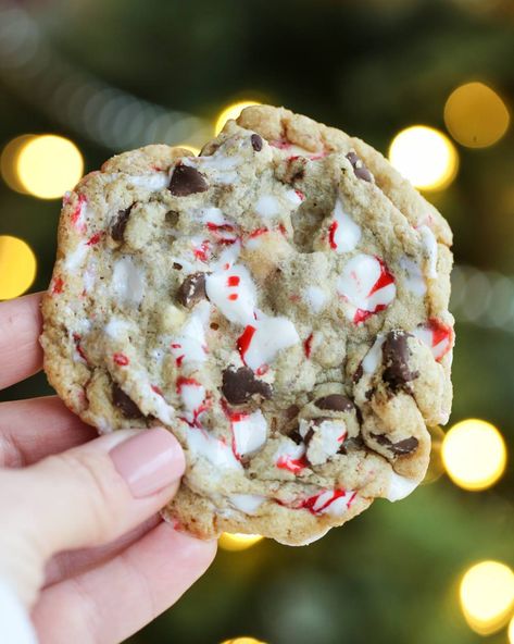 Christmas Tree Chocolate, Peppermint Chocolate Chip Cookies, Our Best Bites, Christmas Baking Recipes, Candy Cane Cookies, Peppermint Candy Cane, Peppermint Cookies, Christmas Food Desserts, Xmas Cookies