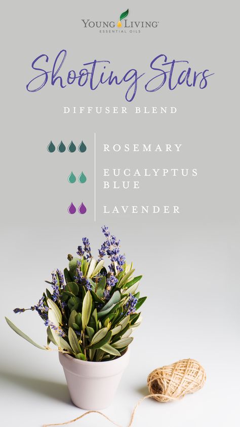 Eucalyptus Essential Oil Uses, Young Living Oils Recipes, Living Oils Recipes, Essential Oil Combinations, Magia Das Ervas, Essential Oil Diffuser Blends Recipes, Young Living Essential Oils Recipes, Essential Oils Guide, Essential Oil Diffuser Recipes