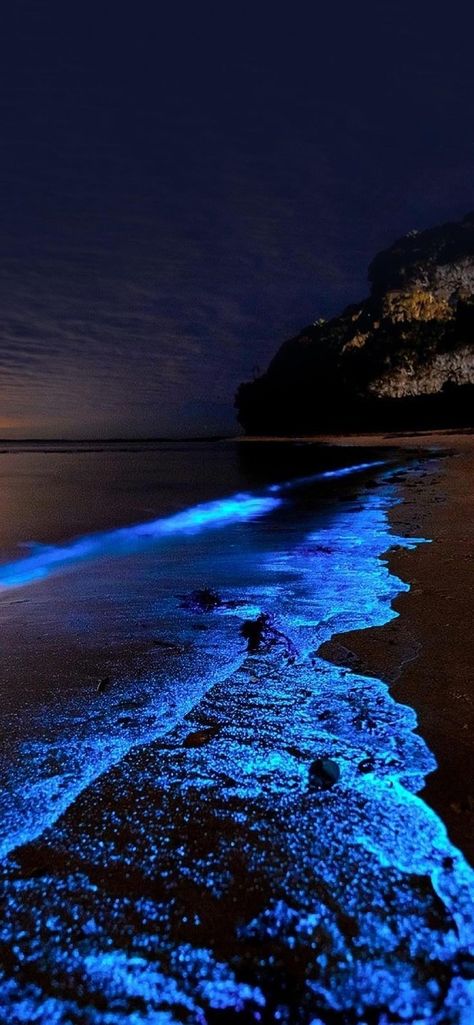 Glowing Beaches, Dark Blue Iphone Wallpaper, Pandora Wallpaper, Dark Beach, 4k Images, Abstract Art Images, Ocean At Night, Sparkle Wallpaper, Guru Pics