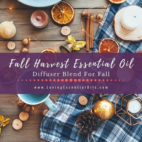 Another favorite one of our diffuser recipes for fall to enjoy diffusing! Aromatize your home with the natural smell of essential oils. FREE Diffuser Guide! Autumn Diffuser Blends, Fall Ambiance, Cassia Essential Oil, Pumpkin Spice Recipes, Fall Essential Oils, Juniper Berry Essential Oil, Fall Diffuser Blends, Pumpkin Spice Recipe, Aromatherapy Recipes