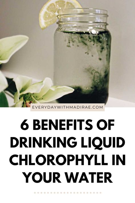 Liquid Chlorophyll is an all-natural detox drink that will help purify your blood, pull out toxins, & benefit the skin. Check out my post all about the health benefits of chlorophyll, how to use it, & what it tastes like! #liquidchlorophyll #benefits #detox How To Drink Chlorophyll, Benefits Of Drinking Chlorophyll, Health Benefits Of Chlorophyll, Liquid Cholorphyll Benefits, Benefits Of Chlorophyll Drops, Chrophyl Benefits, Chloryphl Benefits, Cholorphyll Benefits, Benefits Of Chlorophyll Water