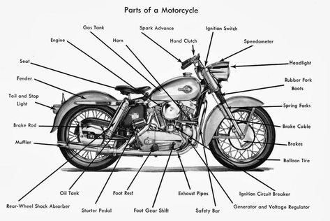 English Vocabulary: Vehicle Parts and Accessories 20 Motorcycle Engine Parts, Motorcycle Knowledge, Car Anatomy, Bicycles Design, Beginner Motorcycle, Car Symbols, Custom Motorcycle Parts, Motorbike Parts, Riding Tips