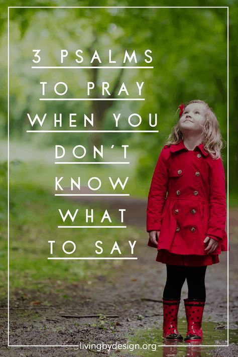 God's Word is powerful when we read it, but doubly so when we pray it! Today, I'm sharing my 3 favorite psalms to pray when I don't know what to say. 3 Psalms to Pray when You Don't Know what to Say. I hope these prayers encourage you, and give you a place to start when you are feeling stuck in the mud. #prayers #dailyprayer #pray Intercessory Prayer Examples, Godly Homemaking, Stuck In The Mud, Prayers For Strength, How To Pray, Prayer For Family, Bible Love, Prayer Verses, Prayers For Healing