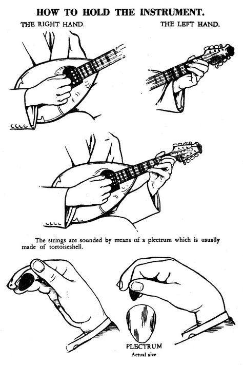 Mario de Pietro - How to hold the mandolin Learning Mandolin, Mandolin Chords, Mandolin Songs, Mandolin Music, Violin Rosin, Mandolin Lessons, Cool Violins, Guitar Learning, Guitar Cord