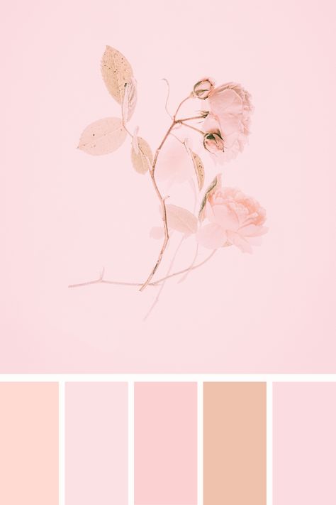 This "aesthetic pink color palette" is soft and delicate, featuring pale pink roses and muted leaves against a gentle blush pink background. The overall tone is light and airy, creating a minimalist and romantic visual effect, perfect for conveying subtle elegance and grace. Aesthetic Pink Color Palette, Aesthetic Pink Color, Color Scheme Generator, Pink Color Palette, Pale Pink Roses, Color Pallete, Baby Pink Aesthetic, Color Palette Pink, Different Shades Of Pink