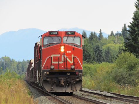 Manifest train stopet at Newlands signal on route to Prince George BC Prince George Bc, Iron Mountain, Train Pictures, Prince George, Prince, Train