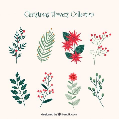 Collection of christmas flowers | Free Vector #Freepik #freevector #flower #christmas #christmas-card #floral Sunflower Centerpieces Diy, Christmas Leaves, Paper Sunflowers, Flower Christmas, Christmas Plants, Illustration Noel, Christmas Doodles, 카드 디자인, Navidad Diy