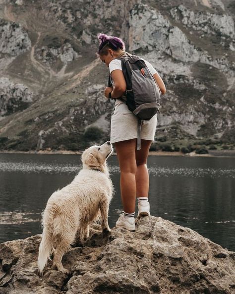 most loyal dog breeds golden retriever Dog Breeds Big, Loyal Dog Breeds, Tarot Aesthetic, Nanny Dog, Arcana Tarot, Great Pyrenees Dog, Best Buddies, Chesapeake Bay Retriever, Brussels Griffon