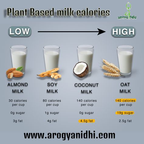 Oat Milk Benefits, Coconut Milk Benefits, Milk Nutrition Facts, Milk Diet, Food Calorie Chart, Cow's Milk, Milk Benefits, Milk Smoothie, Food Health Benefits