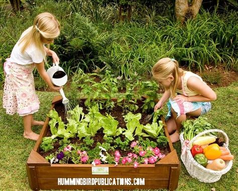 Kids Vegetable Garden, Muddy Footprints, Vegetable Garden Boxes, Huge Garden, School Gardens, Kids Vegetables, Vegetable Patch, Veg Patch, Walking Path