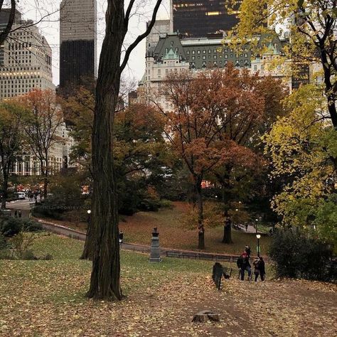 Walking In The Park, Gilmore Girl, Fall Mood Board, Wallpaper Halloween, Season Of The Witch, Rory Gilmore, Academia Aesthetic, Best Seasons, We Fall In Love