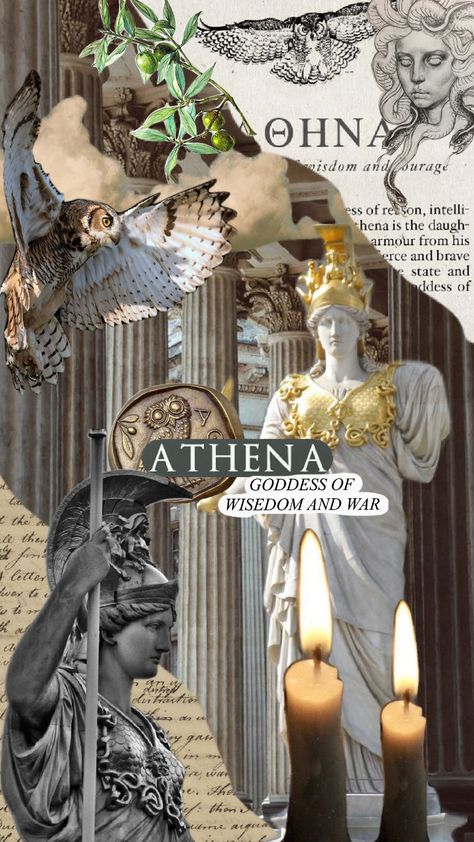 #athena Atsv Oc, Athena Core, Athena Aesthetic, Athena Goddess Of Wisdom, Goddess Of Wisdom, Goddess Aesthetic, Wise Girl, Animals Photography, Products Photography