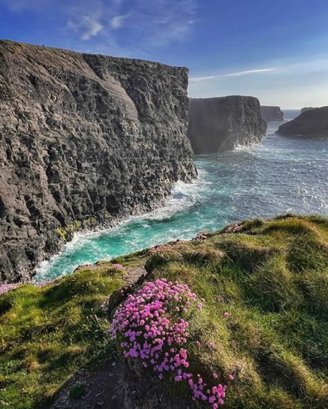 Kilkee Clare, Kilkee Cliffs, County Clare Ireland, Clare Ireland, Stop And Smell The Flowers, County Clare, Summer 3, British Isles, The Flowers