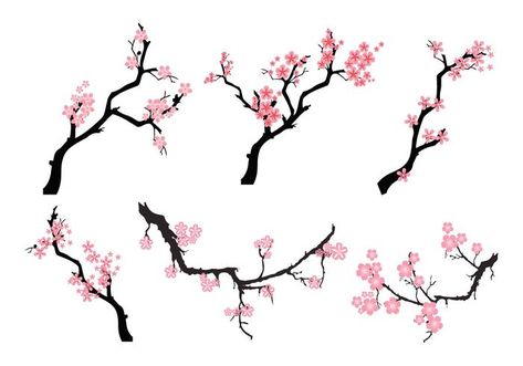 Tree Blossom Drawing, Peach Blossom Tree, Blossom Drawing, Anime Cherry Blossom, Cherry Blossom Vector, Cherry Blossom Drawing, Peach Tattoo, Flor Tattoo, Branch Drawing