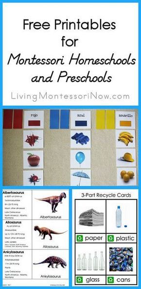 Montessori Printables, Montessori Lessons, Montessori Homeschool, Montessori Ideas, Baby Activities, Websites Design, Montessori Education, Learning Materials, Montessori Classroom