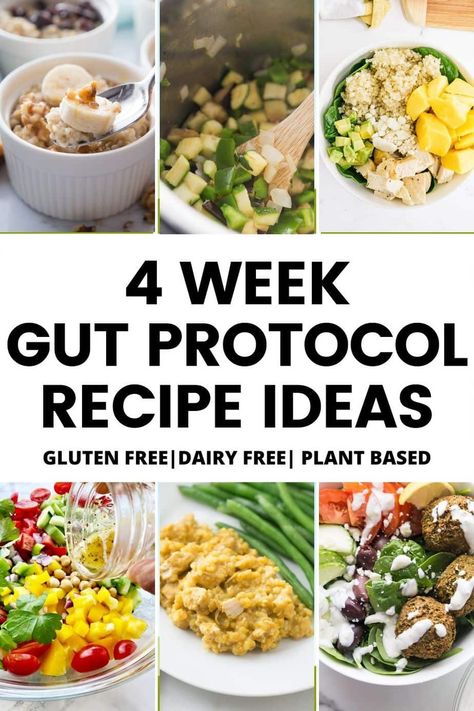 Are you looking for recipes ideas for Beachbody's newest program, the 4 Week Gut Protocol? I have rounded up my favorite gluten and dairy free recipes that are full of plant power to help you meal plan for success. Gut Healthy Vegetarian Recipes, Gut Healthy Meal Prep, Gut Healing Recipes Dinners, 4 Week Gut Protocol, Gut Healthy Meals, Gut Protocol, Confessions Of A Fit Foodie, 1200 Calorie Diet Meal Plans, Gut Recipes