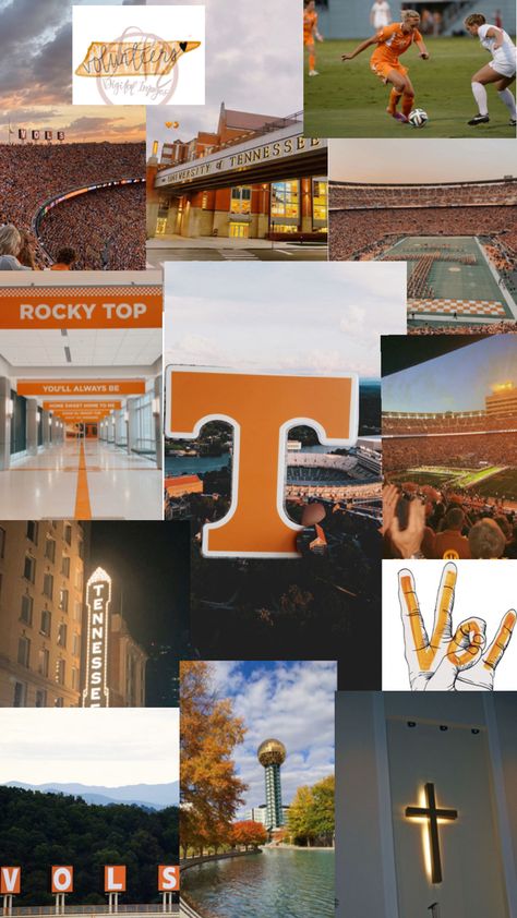 Collage of the college of the university of Tennessee Tennessee College Football, Univ Of Tennessee, Tennessee College, College Collage, Rocky Top Tennessee, Tennessee Volunteers Football, Dream Collage, University Of Tampa, Go Vols