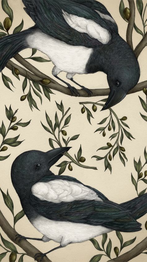 Poolga.com Magpie Art, Amazing Artists, Artist Interview, Fairytale Fantasy, Good Omens, Beatrix Potter, Freelance Illustrator, Magpie, Art Plastique