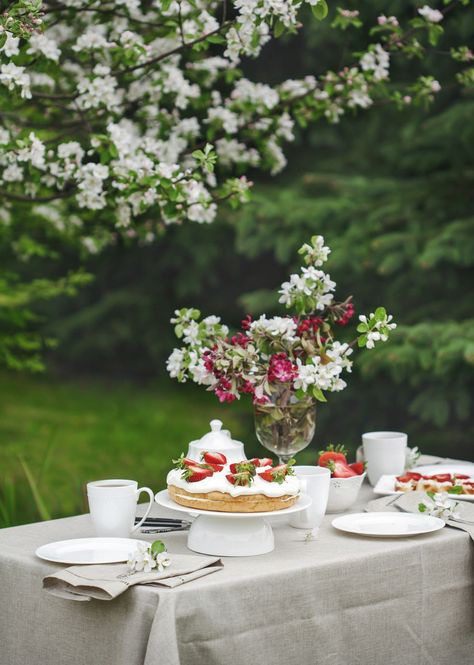 Afternoon tea in the garden. Garden party Easter Lunch Table, Tea Party Photography, Spring Centerpieces, Elegant Table Decorations, Tea In The Garden, Gingham Napkins, Bamboo Cutlery, Spring Table Settings, Spring Entertaining