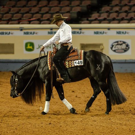 Ranch Horses Working, Western Reining Horse, Reined Cow Horse, Reining Horses Photography, Western Pleasure Riding, Horse Disciplines, Throughbred Horses, Roping Horse, Western Horse Riding