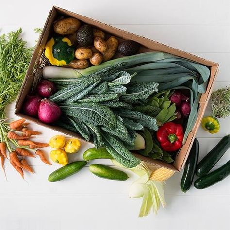 6 Produce Box Subscriptions For Fresh Veggies Delivered Straight To Your Door Fresh Produce Packaging, Kitchen Shoot, Vegetable Delivery, Package Photography, Veggie Box, Fruit Hampers, Box Subscriptions, Vegetable Boxes, Fruit Gifts