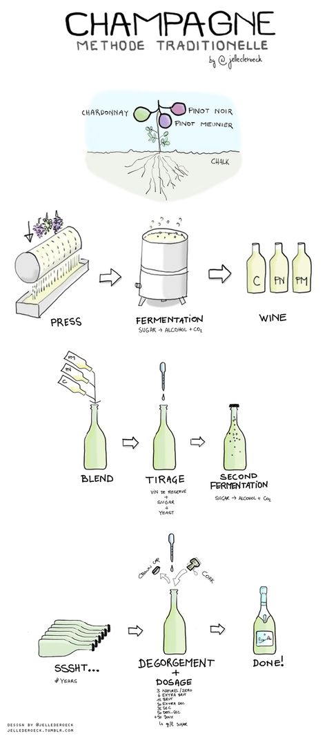 how-champagne-is-made-infographic Wine Facts, Wine Folly, Wine Knowledge, Wine Expert, Wine Education, Champagne Bubbles, Wine Event, Wine Guide, Vitis Vinifera