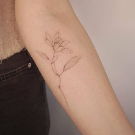 Narcissus Flower Tattoo Forearm, Narciccus Tattoo, Forsythia Tattoo, Narcissus And Holly Tattoo, Narcissus Flower Tattoo, Narcissus Tattoo, Flowers Narcissus, Narcissus Flower Tattoos, Flor Tattoo