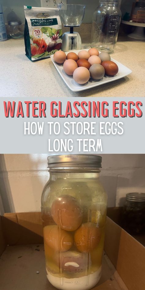 Do you have a surplus of eggs that you need to store eggs for the long term? Water glassing eggs is one of the best ways to store eggs long term. It keeps eggs fresh for up to a year. Learning how to water glass eggs is so easy! Glassing Eggs, Preserve Eggs, Homemade Fly Traps, Preserving Eggs, Food Grade Buckets, Glass Eggs, Storing Eggs, Gallon Glass Jars, Large Glass Jars