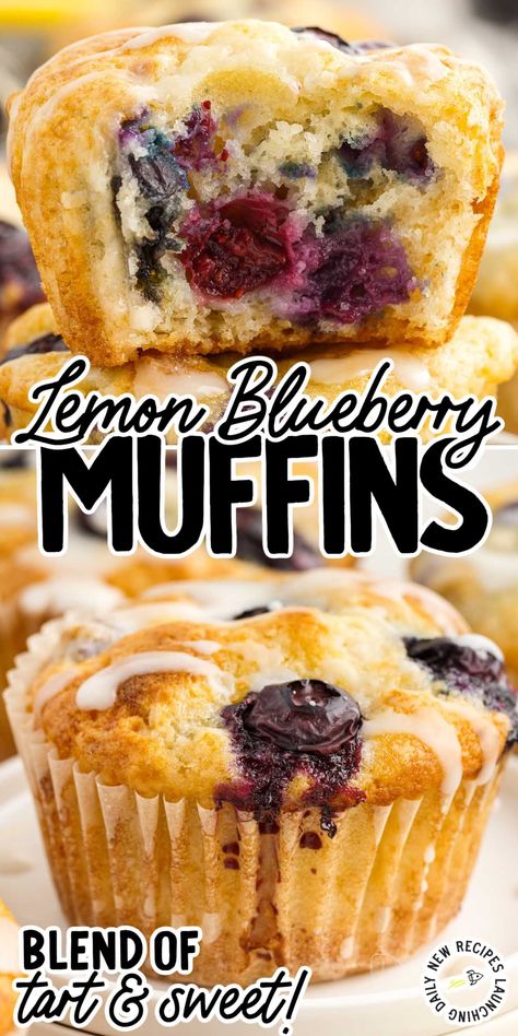 Lemon Blueberry Muffins Discard Muffins, Sourdough Discard Muffins, Jumbo Blueberry Muffins, Sourdough Blueberry, Lemon Blueberry Muffins Recipe, Blueberry Lemon Muffins, Blueberry Yogurt Muffins, Freeze Muffins, Lemon Blueberry Muffins