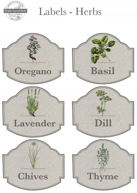 Labels Herbs.pdf Herb Jar Labels, Spices Labels, Farm Printable, Syrup Labels, Action Board, Herb Labels, Herb Jar, Spice Jar Labels, Garden Labels