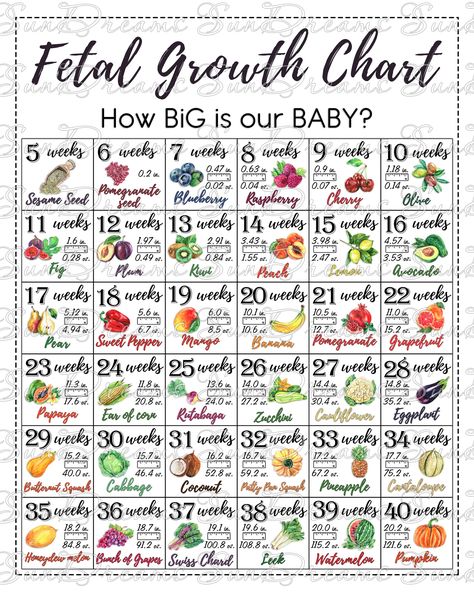 Printable Fetal Growth Chart With Watercolor Illustrations During pregnancy, it is very interesting to watch the growth and weight of your little baby in your tummy week by week.  With the Fetal Growth Chart poster you will always be happy to track the approximate height and weight of your baby in your tummy looking at the fruits and vegetables corresponding to the new week of pregnancy. Give yourself a positive feeling and keep track week by week  How Big is your Baby♥ Best for printing on the Weeks Of Pregnancy Chart, Pregnancy Chart Weeks, Baby Growth Chart In Womb, Baby Conception Chart, Size Of Baby Week By Week, Pregnancy Growth Chart, Fetal Growth Chart, Baby Size By Week, Baby Weight Chart