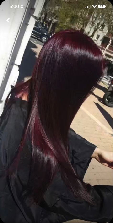 Black Red Cherry Hair, Dr Pepper Red Hair, Jet Black Hair With Red Tint, Black Cherry Red Hair Color, Red Hair Bottom Half, Level 3 Red Hair, Dark Violet Red Hair Color, Deep Cherry Black Hair, Red Hair Side Bangs