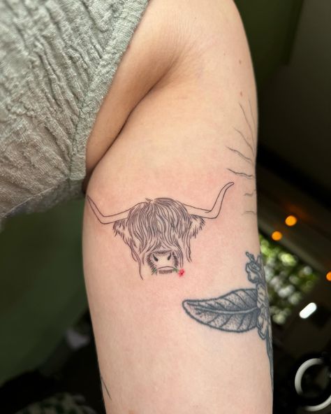 @tashcosmos_tattoo • Instagram photos and videos Small Highland Cow Tattoo, Fluffy Cow Tattoo, Highland Cow Tattoo Simple, Scotland Tattoo Ideas, Cow Tattoos, Highland Cow Tattoo, Farm Tattoo, Scotland Tattoo, Fitzrovia London