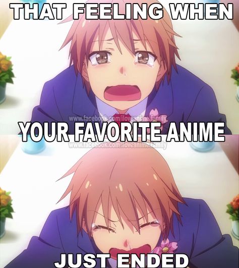 Otaku Problems, Anime Facts, Otaku Issues, Me Anime, Anime Fandom, A Silent Voice, Anime Jokes, That Feeling, Anime Memes Funny