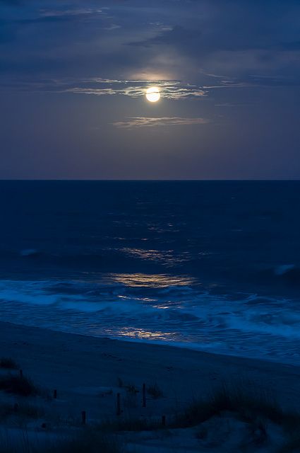 EI - Moonlit Shoreline by Christopher Lane Photography Ocean At Night, Matka Natura, Beach At Night, Night Scenery, Fotografi Alam Semula Jadi, Moon Photography, Alam Semula Jadi, Night Aesthetic, Nature Aesthetic