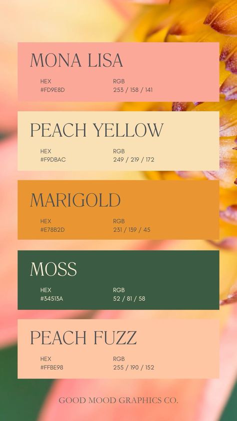 Peach Fuzz Color Palette 🍑 🎨 Good Color Matches, Vintage Pink And Green Color Palette, Mustard Yellow Pallet Colour Palettes, Mustard Yellow And Pink Color Palette, Banana Yellow Color Palette, Marigold Colour Palette, Green And Mint Color Palette, Yellow Pink Color Scheme, Peach And Mustard Color Palettes