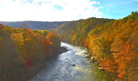 The Great Allegheny Passage, Great Allegheny Passage Cycling, Bike Touring Packing, Ohiopyle State Park, Allegheny National Forest, Allegheny Mountains, Continental Divide, Touring Bike, Bike Trips