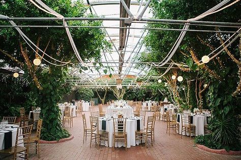 18 Gorgeous Garden Wedding Venues in the US | Brit + Co Boojum Tree, Hidden Gardens, Garden Wedding Venues, Getting Married Abroad, Arizona Wedding Venues, Garden Reception, Hidden Garden, Surprise Wedding, Boho Garden