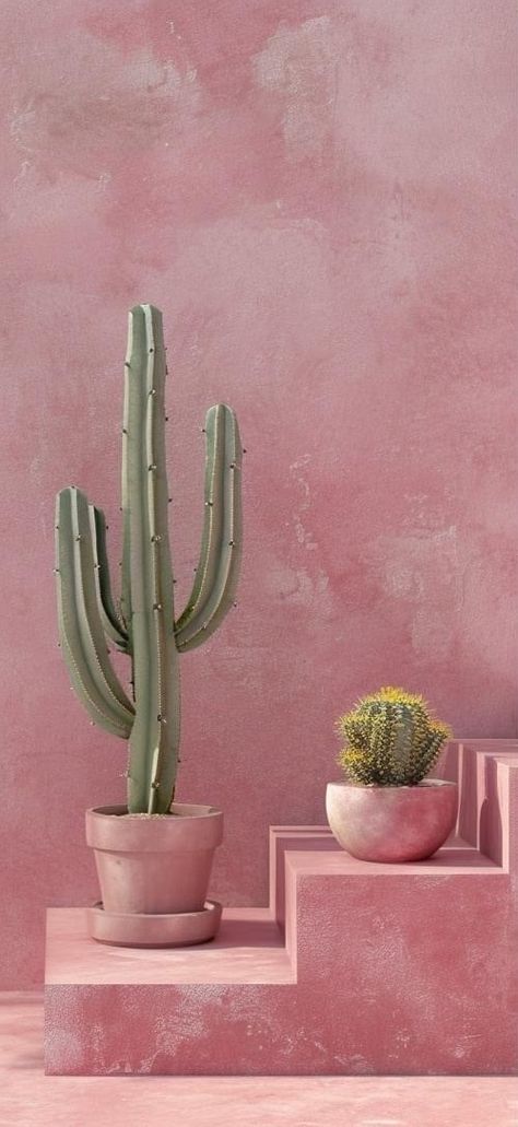 Cactus Pink Background, Cactus Background Wallpapers, Cactus Iphone Wallpaper, Pink Cactus Wallpaper, Cactus Wallpaper Iphone, Wallpaper Cactus, Cactus Aesthetic, Cactus Wallpaper, 500 Dollars