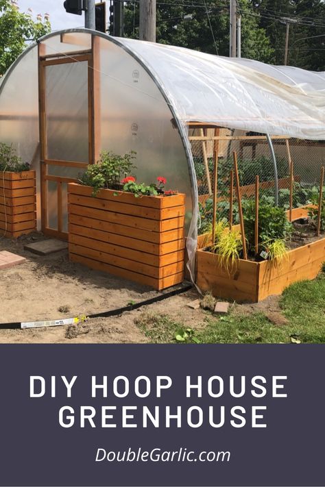 Hoop House Greenhouse, Hoop Greenhouse, Diy Hoop House, Dream Greenhouse, How To Harvest Cilantro, House Greenhouse, Hoop House, Diy Greenhouse Plans, Homesteading Diy