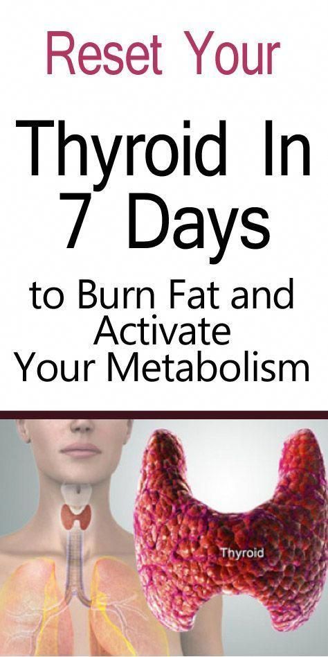 Your thyroid is the most important gland for burning fat and losing weight. If you aren't activating your thyroid you aren't losing weight. #hypothyroidismlosingweight Smoothies Vegan, Thyroid Function, Thyroid Health, Diet Vegetarian, Smart Things, Diet Keto, Lose 50 Pounds, Best Diets, Burn Fat