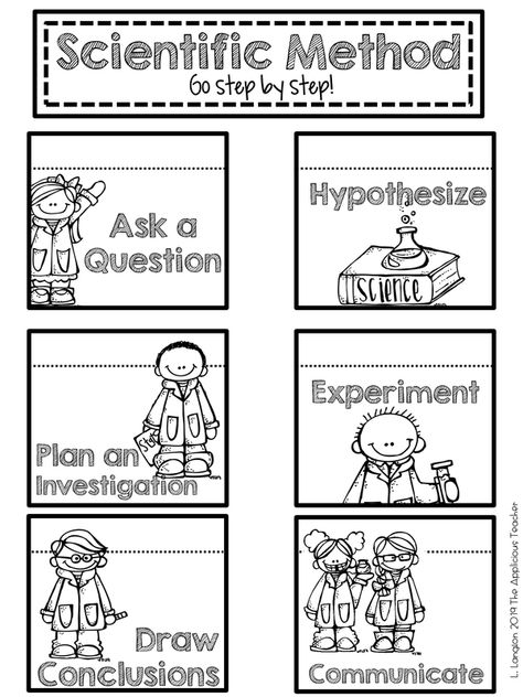 Scientific Method Anchor Chart, Scientific Method Activities, Teacher Checklist, Scientific Method Worksheet, 1st Grade Science, Steam Education, Science Activity, Drawing Conclusions, Force And Motion