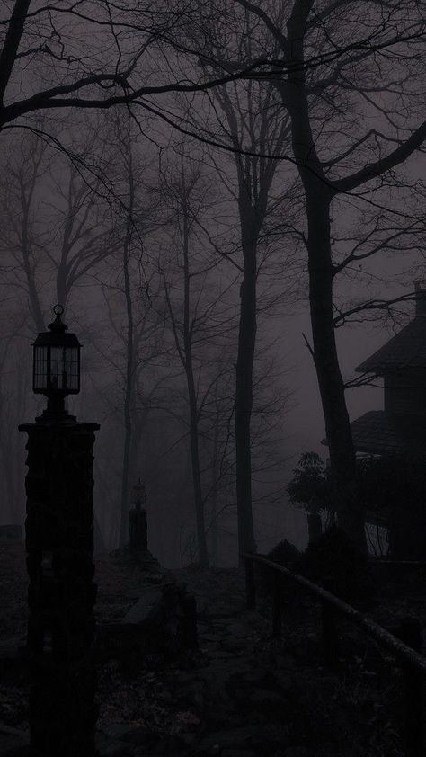 Grey Halloween Wallpaper, Dark Victorian Aesthetic, Victorian Gothic Aesthetic, Goth Aesthetic Wallpaper, Gothic Background, Dark Sunset, Dark Academia Wallpaper, Dark Forest Aesthetic, Dark Landscape