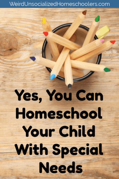 Homeschooling Learning Disabilities, Homeschool Special Education, Homeschool Special Needs, Asd Activities Special Education, Special Needs Homeschool, Gifted Learners, Homeschool Nook, Homeschool Apps, Mother Culture