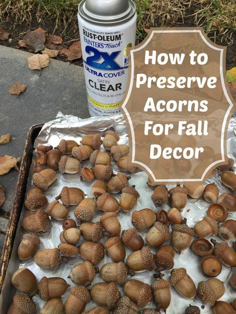 Utilize what nature has provided by adding acorns to your fall decor. Learn how to preserve them so you can use them year after year Preserve Acorns, Dried Acorns, Acorn Crafts, Deco Nature, Cones Crafts, Fall Deco, Autumn Decorating, Pine Cone Crafts, Autumn Crafts