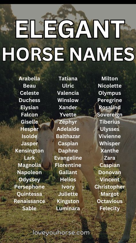 In the world of horse ownership, choosing a name for your new equine friend is an important task.

It’s not just about picking a random word or combination of letters – a horse’s name often reflects their personality, appearance, or even their lineage.

If you’re searching for a unique and elegant name for your horse, look no further! Unique Horse Names, Female Horse Names, Horse Name Ideas, Best Horse Names, Unique Horses, Country Baby Names, Horse Ownership, Female Horse, Elegant Horse