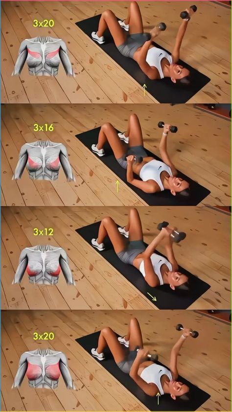 Beginner Chest Workout for Women at Home
Start your fitness journey with this beginner-friendly chest workout for women that you can do at home.
#BeginnerWorkout #ChestExercises #WomenFitness #HomeWorkout #StartStrong
 ... less Back Exercises Women Beginner, Arm Chest Back Workout For Women, Chest Workout Women Home, Workouts For Bigger Chest Women At Home, Work Out Chest For Women, Work Out For Chest For Women, Lower Chest Workout Women, Chest Women Workout, Workout Chest Women