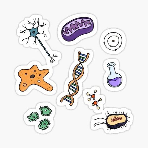 Biology Sticker by dearllibra | Science stickers, Medical stickers, Sticker art Stickers For Biology, Medtech Stickers, Decorate Your Notebook, Doctor Stickers, Medical Stickers, School Book Covers, Science Stickers, Biology Art, Scrapbook Stickers Printable