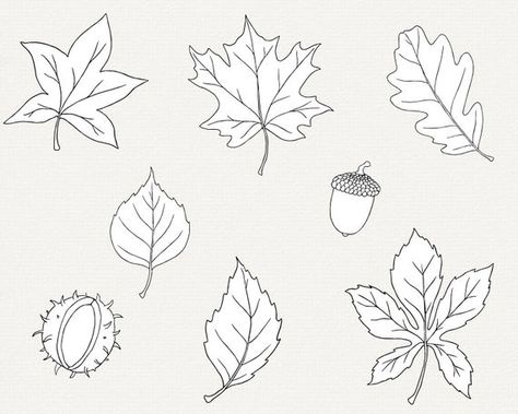 Oak Leaf Line Drawing, Leaf Drawing Easy, Fall Leaves Drawing, Line Art Simple, Insect Clipart, Leaves Clipart, Leaf Outline, Autumn Svg, Leaf Clipart