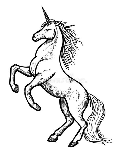 Cartoon image of unicorn. An artistic freehand picture royalty free illustration Unicorn Sketch, Castle Illustration, Unicorn Images, Unicorn Tattoos, Unicorn Drawing, Unicorn Illustration, Cartoon Image, Unicorn Art, Free Illustration